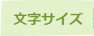 文字サイズ