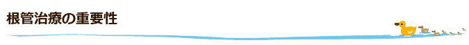 根管治療の重要性