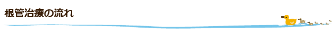 根管治療の流れ